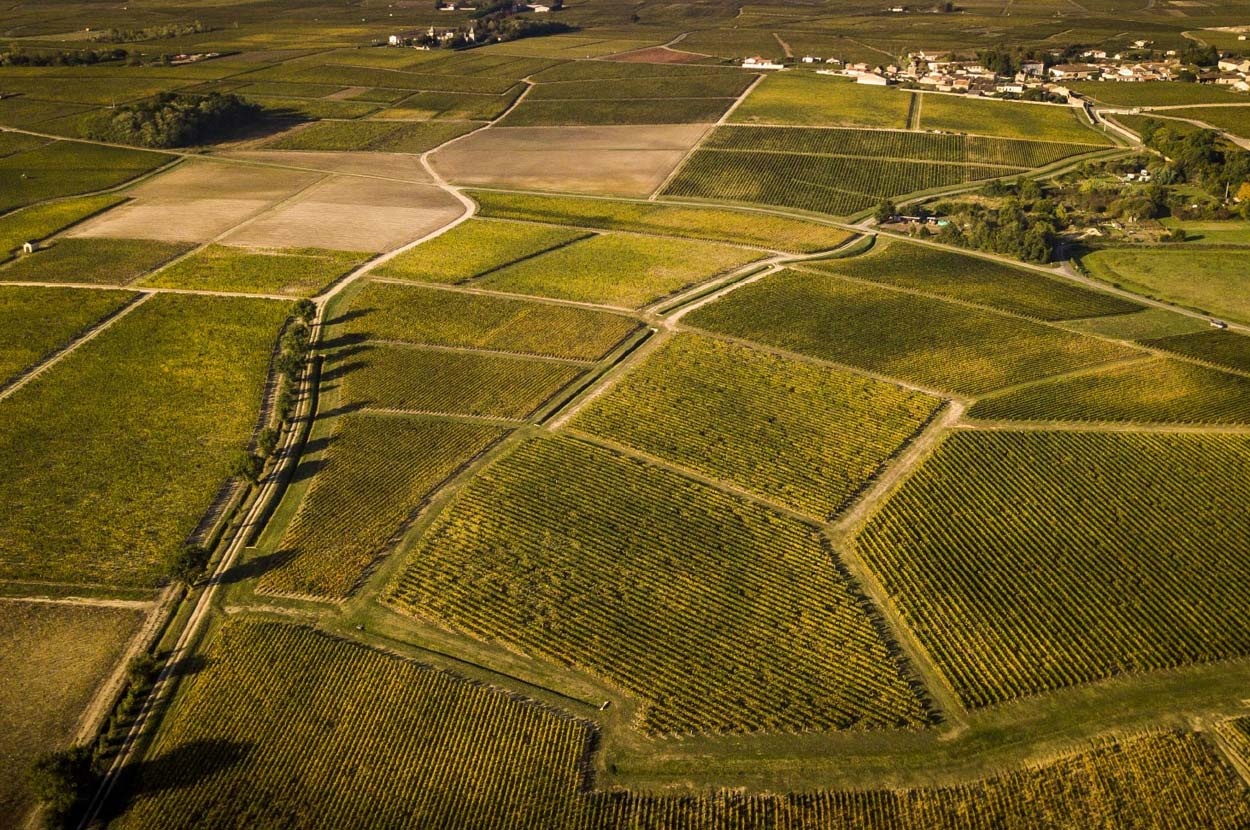 Producteur de vin Arcachon, Producteur de vin Bordeaux, Producteur de vin Gironde, Producteur de vin Médoc, Vente directe de vin Arcachon, Vente directe de vin Bordeaux, Vente directe de vin Gironde, Vente directe de vin Médoc, Vin haut médoc Arcachon, Vin haut médoc Bordeaux, Vin haut médoc Gironde, Vin haut médoc Médoc